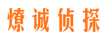 绿园调查公司